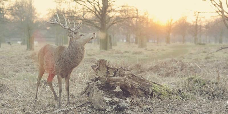 OA系统如何驱动数字化转型：易欧系统实现端到端供应链可视化与优化