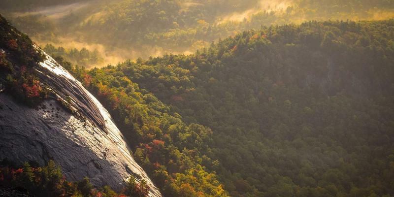 从报表到预测：定制开发如何通过CRM与商业智能重塑企业决策