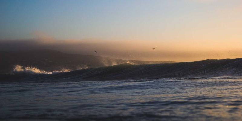 企业管理系统42：驱动数字化转型的核心引擎与OA协同新范式