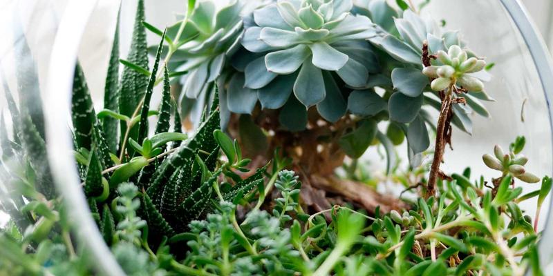 企业管理系统50：数字化转型时代，易欧OA系统如何重塑企业管理新范式