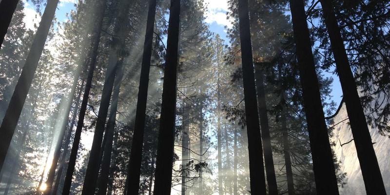 企业管理系统5.2时代：OA与CRM融合驱动数字化转型新范式