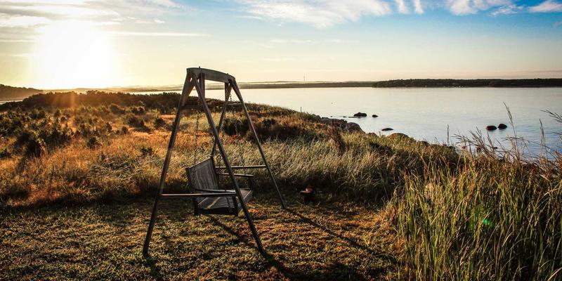 企业管理系统80：定制开发如何驱动OA与数字化转型深度融合