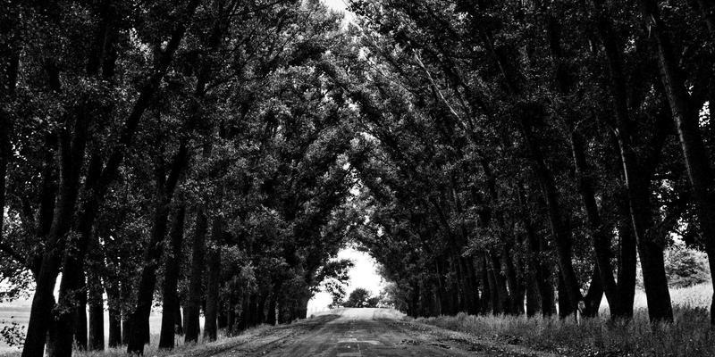 企业管理系统98：ERP与OA融合新范式，易欧系统如何重塑企业数字化核心