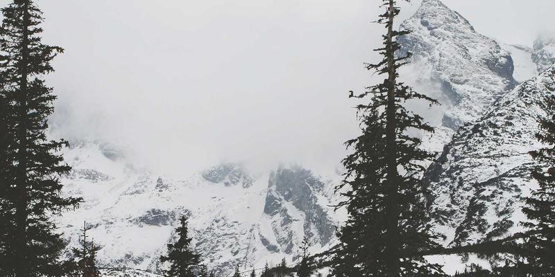 企业管理系统数据迁移全攻略：CRM与数字化转型的关键一步