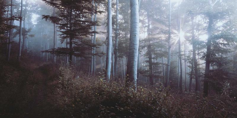 企业管理系统最佳实践:定制开发与数字化转型的双轮驱动