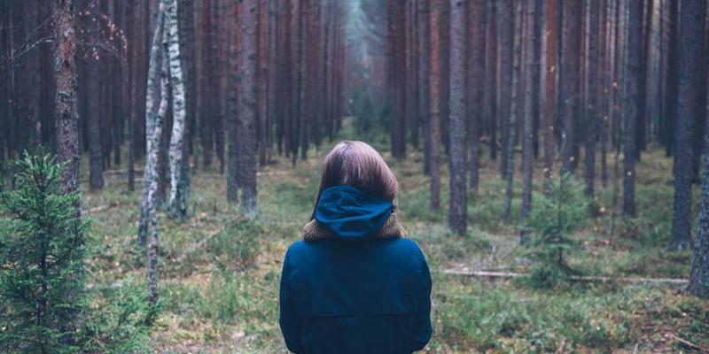 企业管理系统深度解析:ERP与OA如何协同驱动数字化转型