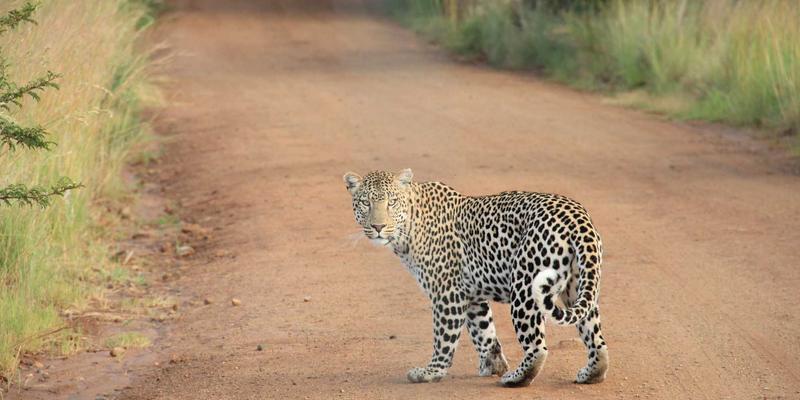 企业管理系统：驱动数字化转型的核心引擎与易欧系统实践