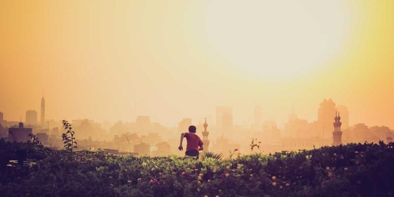 企业管理系统：驱动数字化转型的核心引擎与软件开发新范式