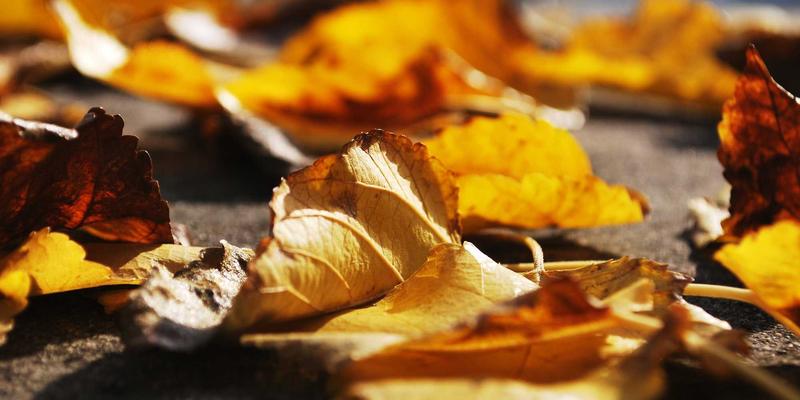 制造业数字化转型关键一步：MES系统与ERP深度集成实现全流程数字化管控