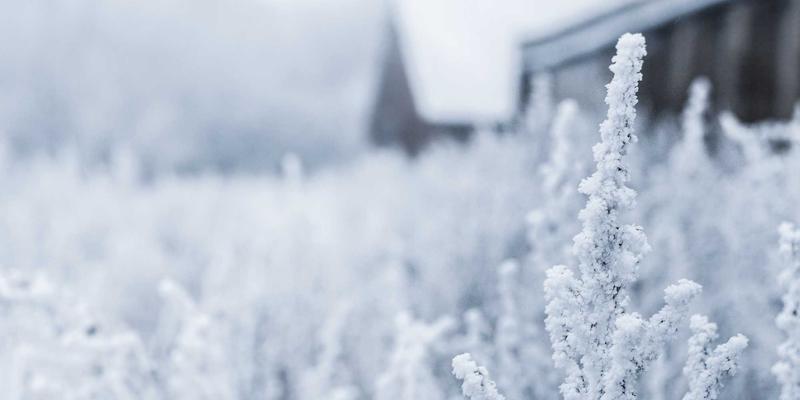 易欧系统与OA定制开发失败启示录：三大致命原因与避坑实战指南